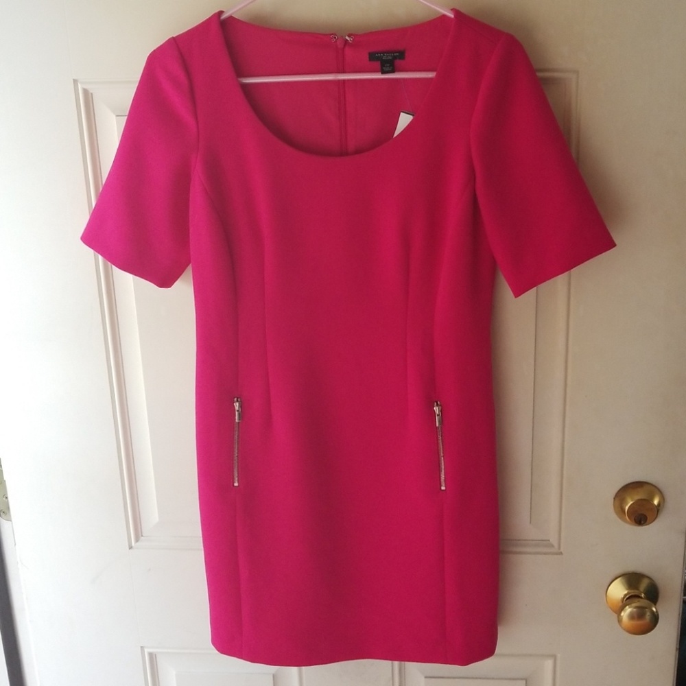 Ann Taylor Petite Dress